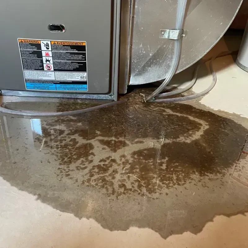 Appliance Leak Cleanup in Madison County, TN